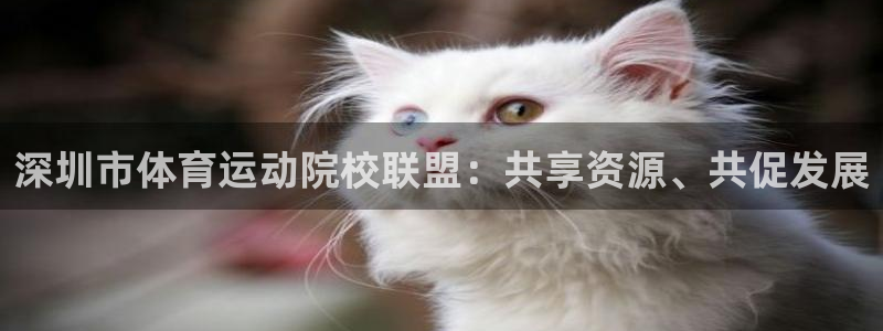 vsport体育官网下载平台APP:深圳市体育运动院校联盟: