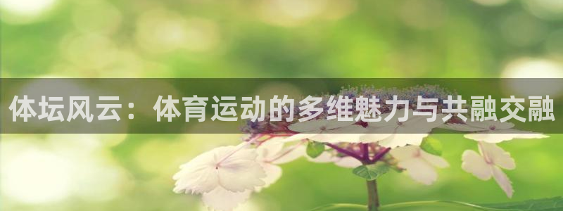 vsport体育官方正版app神州:体坛风云:体育运动的多维