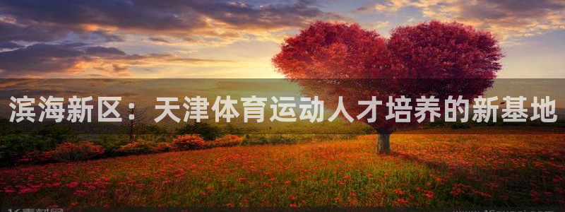 vsport体育官方正版app娱乐是那个系列的台子:滨海新区